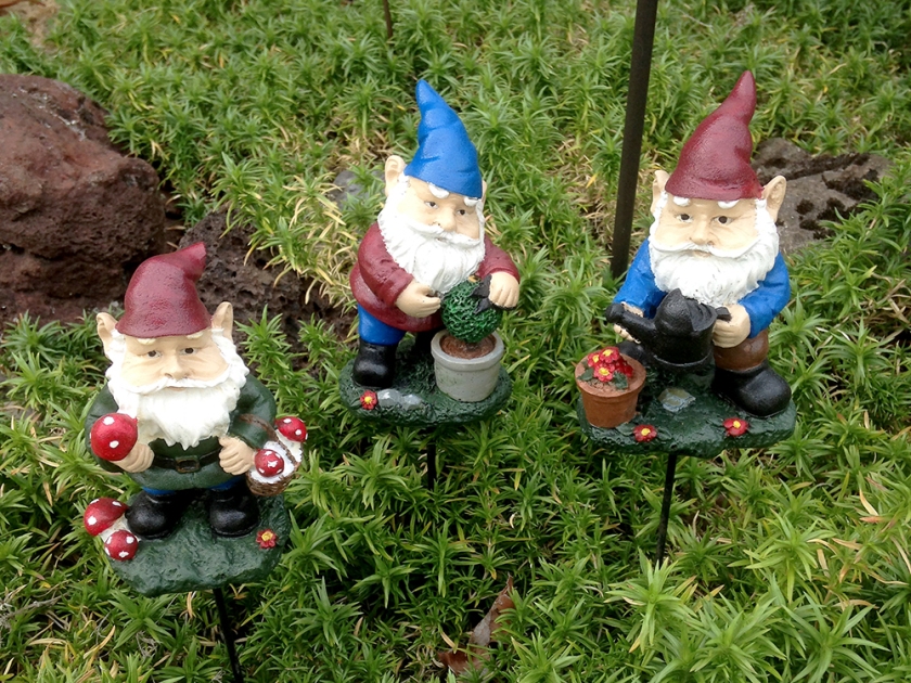 gnomes in garden